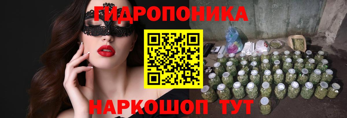 Шишки марихуана сатива Алушта